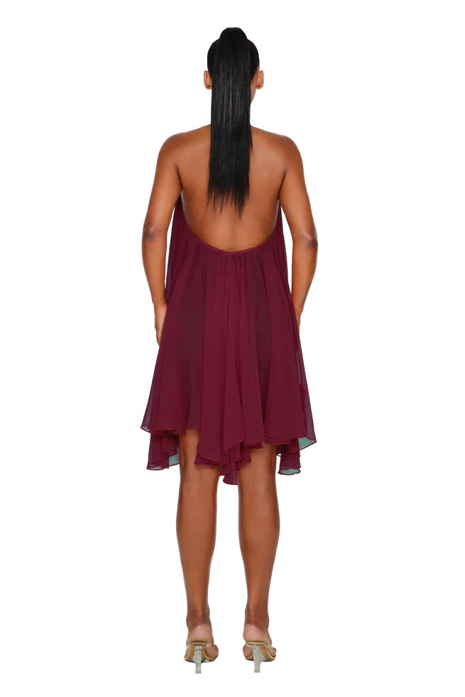 Elegant Arline Dress
